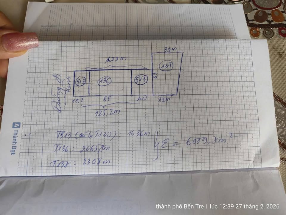 Đất Vườn Dừa 6000m² Bến Tre - Giá Tốt, Cạnh Kênh Mát Lạnh