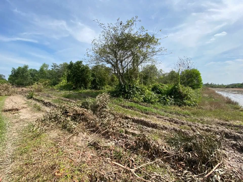 Đất nền Tân An Hội, Củ Chi 4.5ha - Giá 36 tỷ, tiềm năng tăng giá!