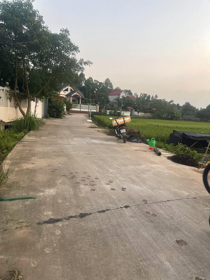 Đất nền Tân An Bắc Ninh 125m² giá 2 tỷ - Vị trí đẹp sinh lời cao!