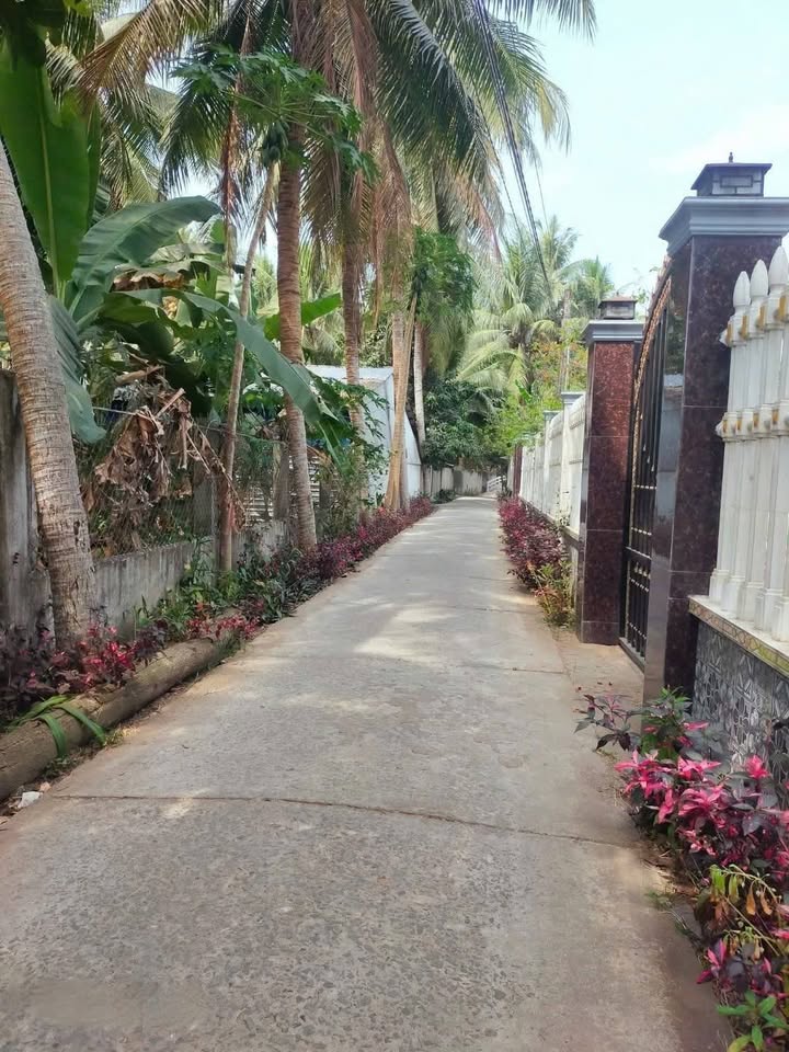 Đất nền Phường An Hội Vĩnh Long 500m² giá 600 triệu - Sổ đỏ chính chủ!