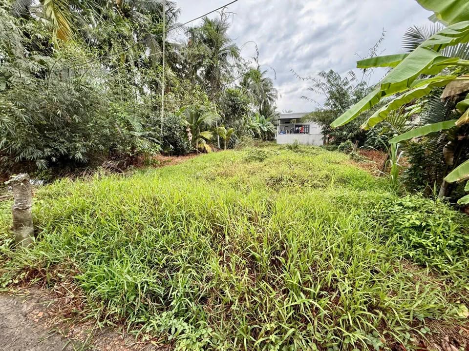 Đất Nền Long Định, Châu Thành 129m² - Sổ đỏ chính chủ, thổ cư 100%