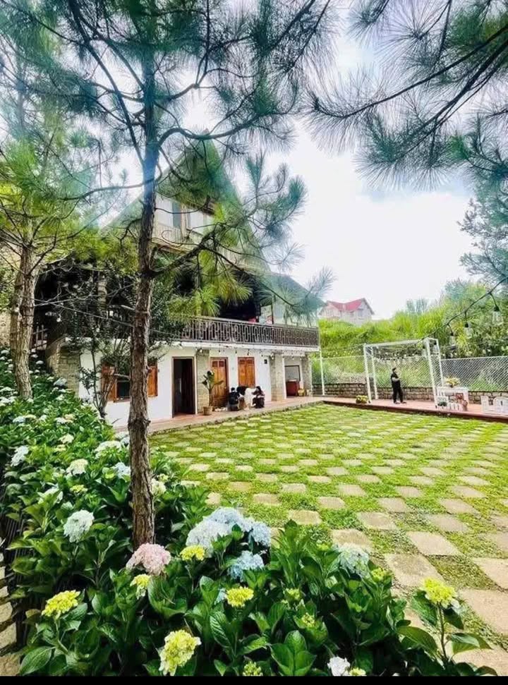 Sang Homestay Sân Vườn 2000m² Phường 8 Đà Lạt - Kinh doanh ngay!