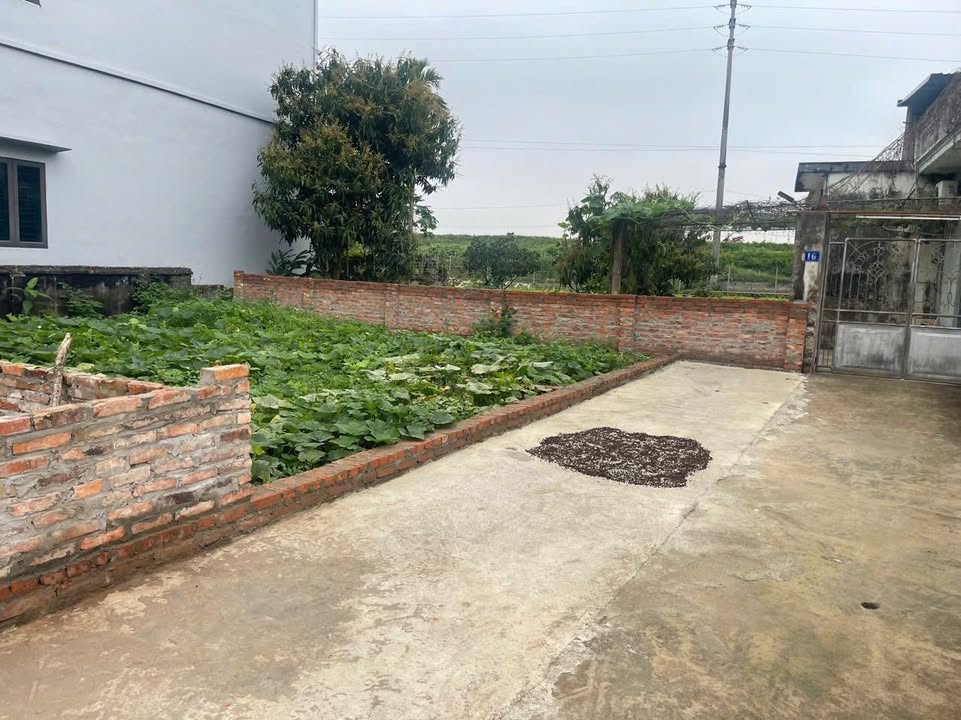 Đất nền Kim Thư Thanh Oai 46m² - Sổ đỏ chính chủ nở hậu phát lộc