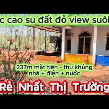Bán Đất Vườn Cao Su Hớn Quản 5ha - Sổ Đỏ Chính Chủ, Dòng Tiền Khủng