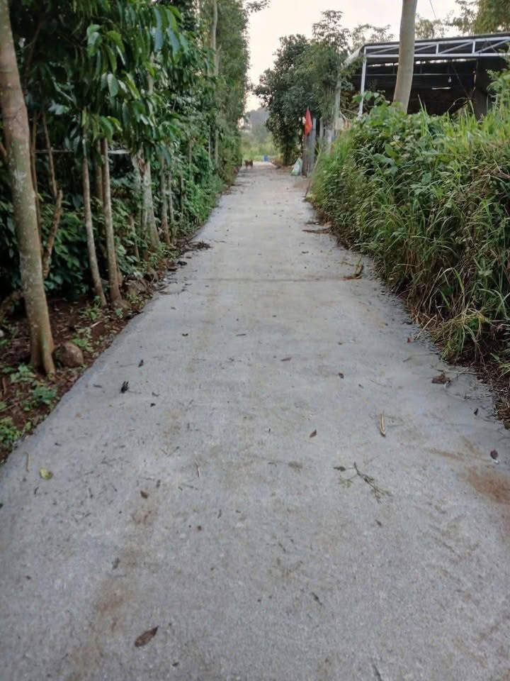 Đất nền Đá Bạc Long Điền 1080m² - Tiềm năng tăng giá vượt trội!