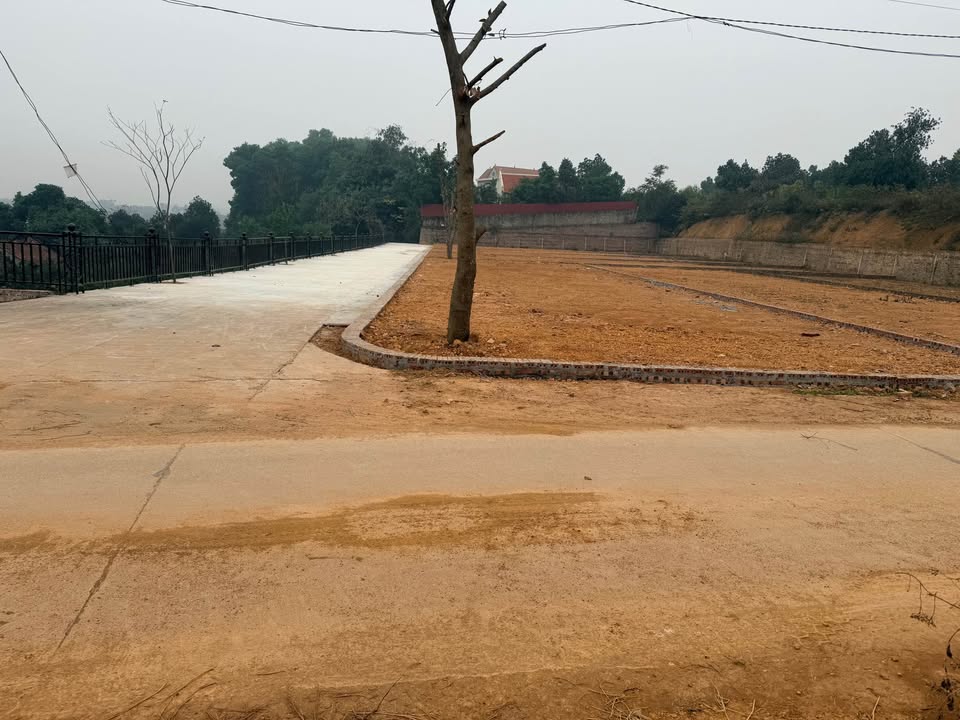 Đất nền Ba Vì 238m² giá 1.x tỷ - Sổ đỏ chính chủ, ô tô tránh!