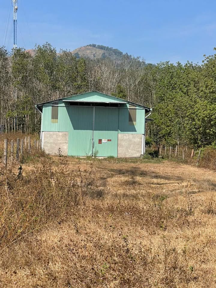 Đất nền Quốc lộ 14 Kon Tum 532m² - Sổ đỏ chính chủ!