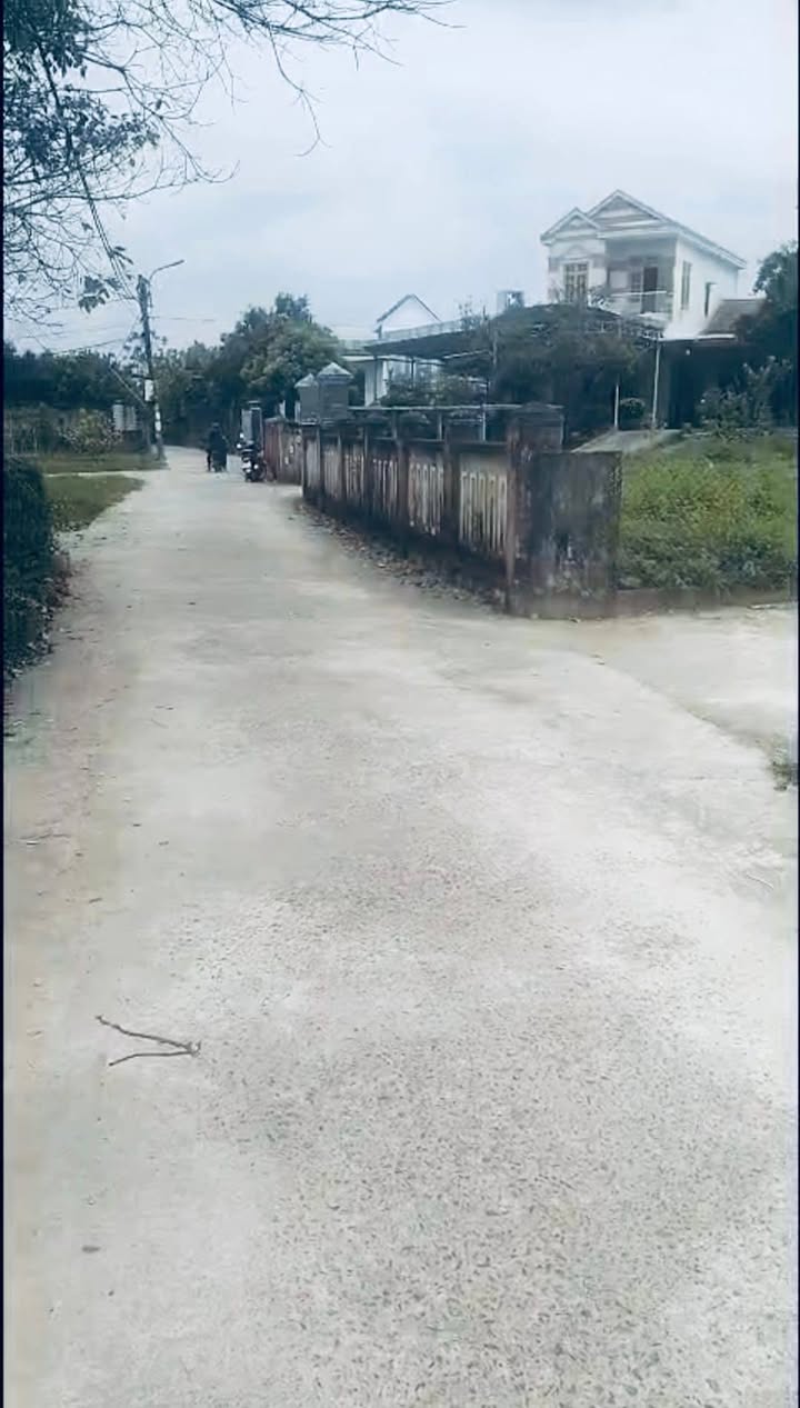 Đất nền Thúy Loan Cẩm Lệ 123.6m² - Ô tô vào tận nơi, giá 1.7 tỷ!