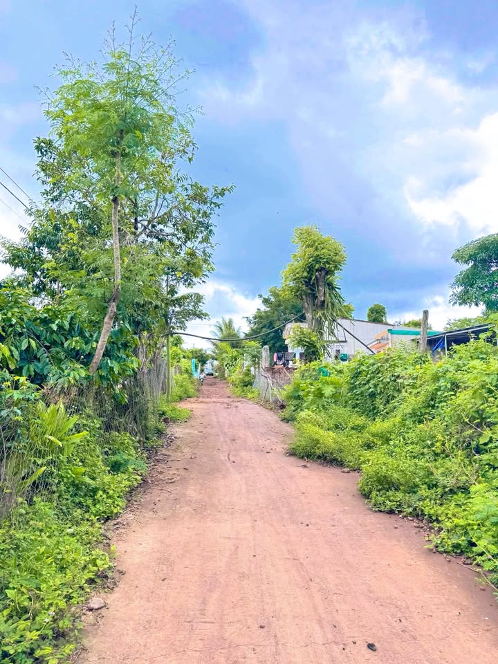 Đất nền Ea D'Rơng, Cư M'gar 260m² - Sổ đỏ sẵn, đầu tư sinh lời