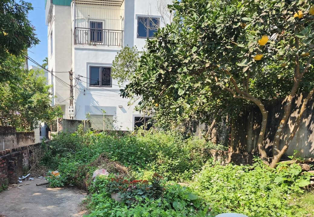 Đất nền Ngũ Hiệp, Thanh Trì 80m² - Sổ đỏ chính chủ, ô tô đỗ cửa