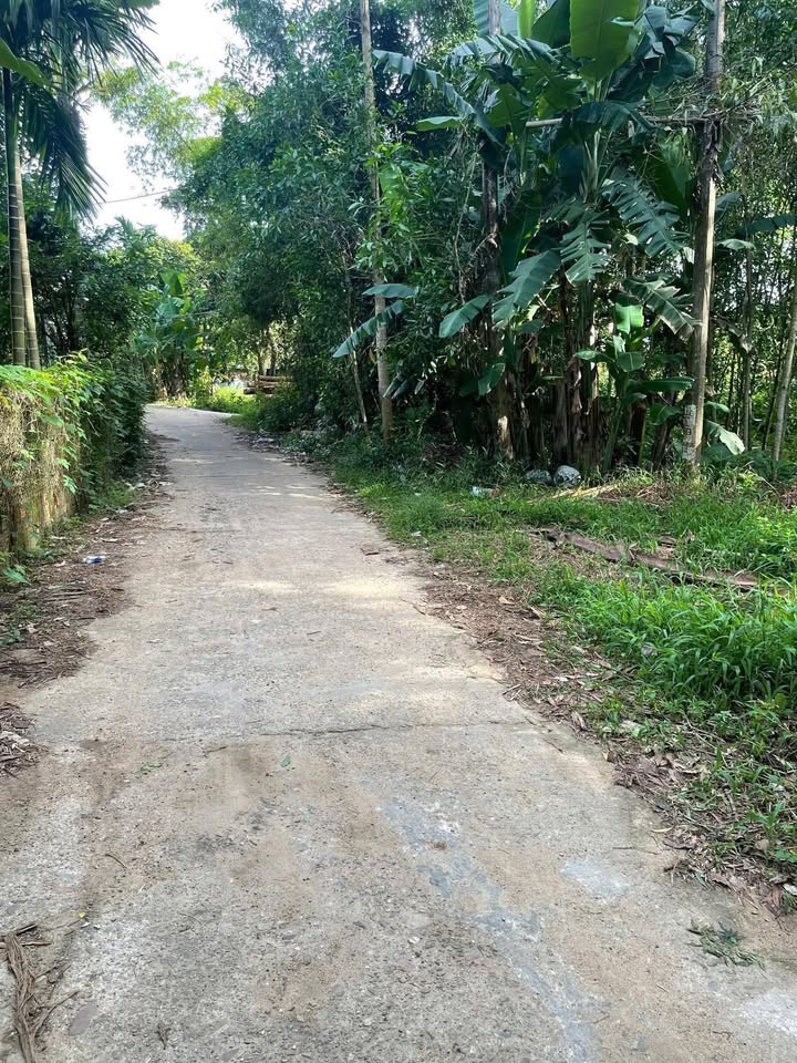 Đất nền Quế Thọ Hiệp Đức 125m² giá 750 triệu - Sổ đỏ sẵn sàng