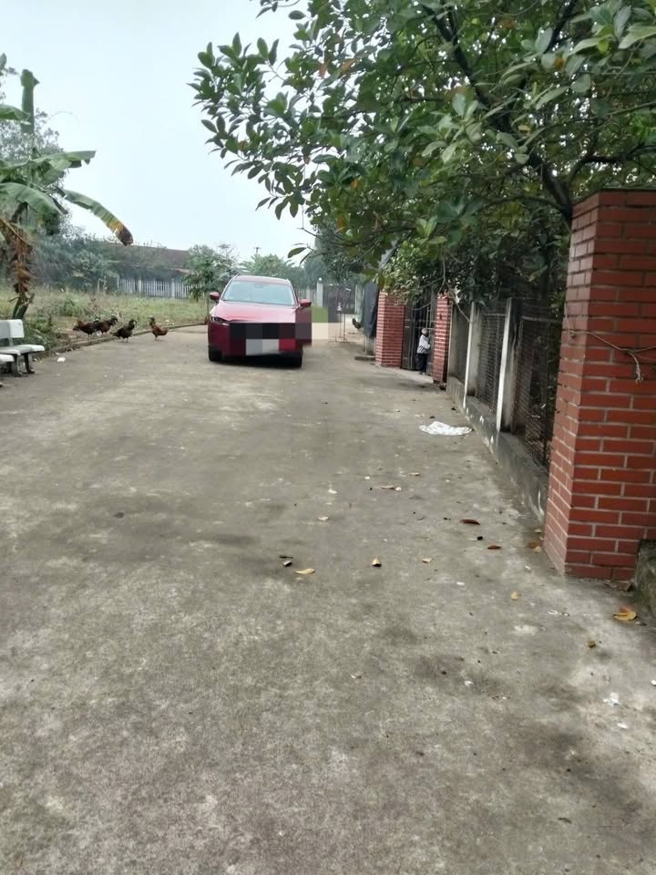 Đất nền Cao Đức, Gia Bình 135m² – Nở hậu tài lộc, Sổ đỏ chính chủ!