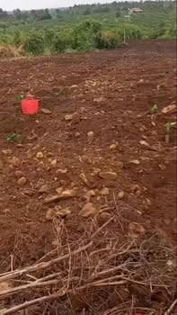 Đất Nền Ea Kar, Đắk Lắk - 1512m² Giá 650 Triệu - Sẵn Sàng Đầu Tư