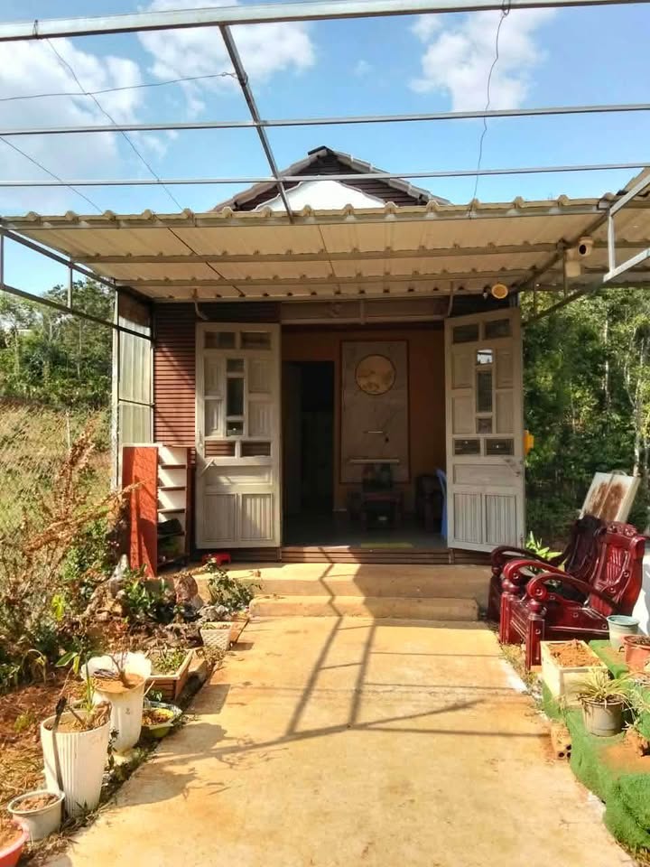 Nhà riêng Bảo Lâm Hẻm Hùng Vương 1PN - Giá tốt hiếm có chỉ 3 triệu/tháng