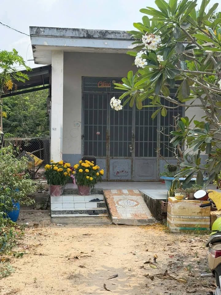 Đất nền Tân Châu Tây Ninh 296m² giá 900 triệu - Tiềm năng tăng giá!