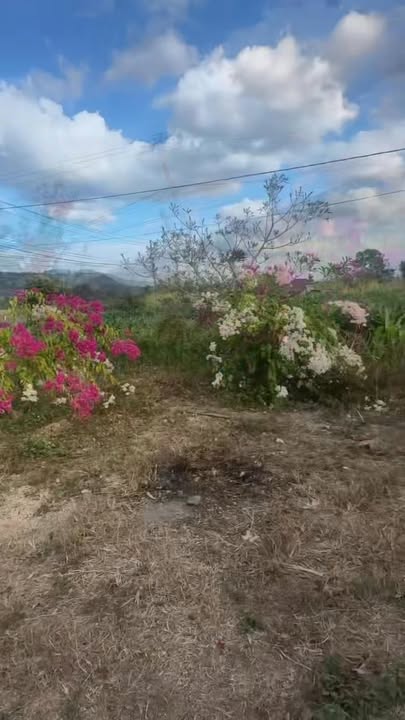 Đất nền Kông Chro Gia Lai 200m² - Tiềm năng tăng giá vượt trội!