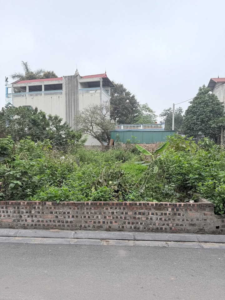 Đất nền Thôn Nhì, Vân Nội, Đông Anh 83m² - Tiềm năng tăng giá vượt trội!