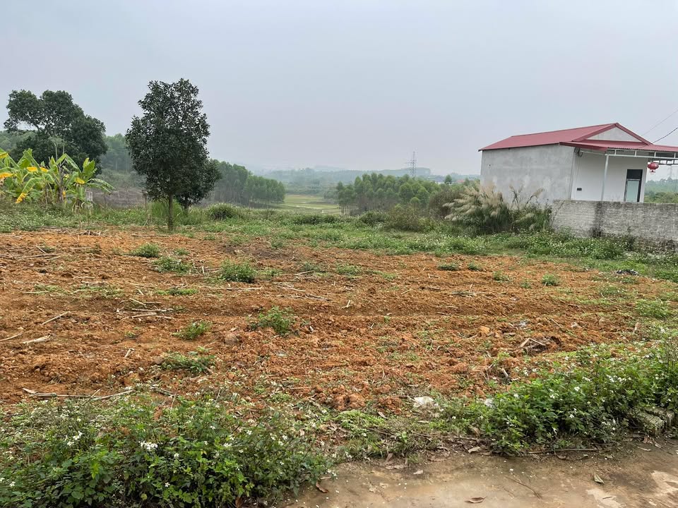 Bán Đất Nền Yên Thế, Bắc Giang 304m² - Giá Hơn 700 Triệu