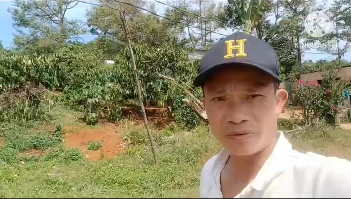 Đất vườn Đắk Búk So 12.000m² 3 tỷ - Sổ hồng rõ ràng