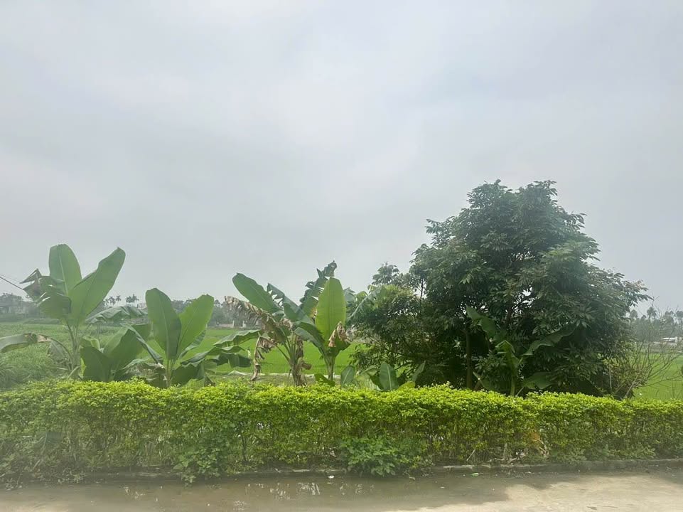 Bán đất Bồ Lý Tam Đảo 360m² giá 1.6 tỷ - Sổ đỏ chính chủ