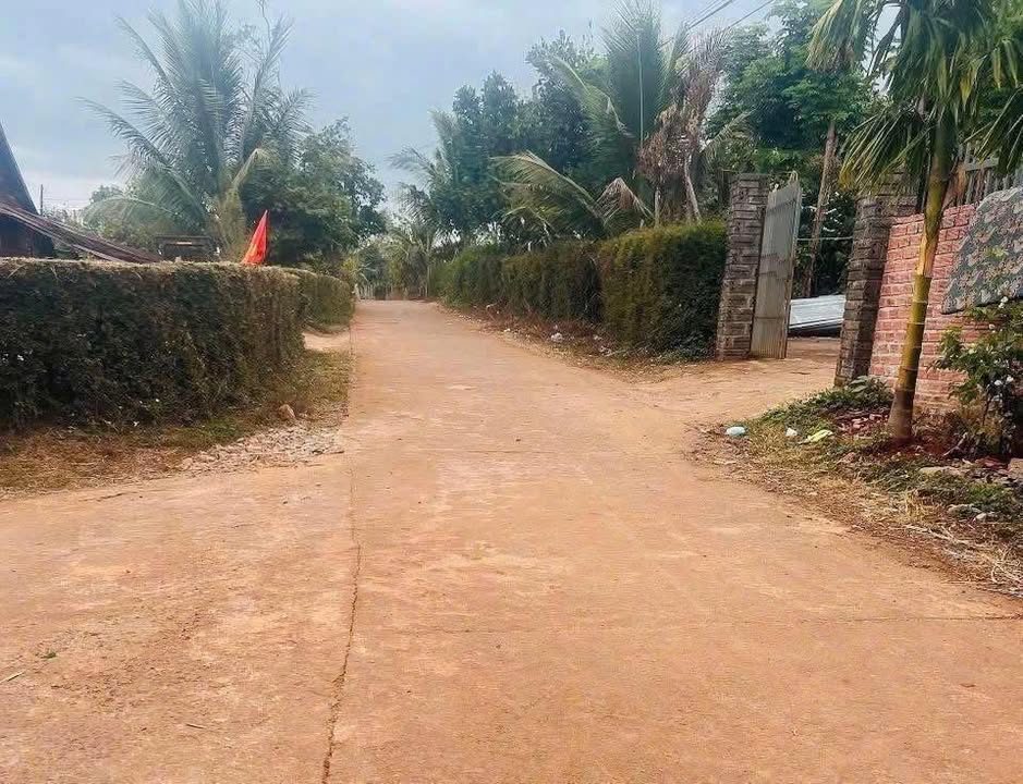 Đất nền Buôn Ti Ea H'leo 1475m² - Đất thổ cư 100%!