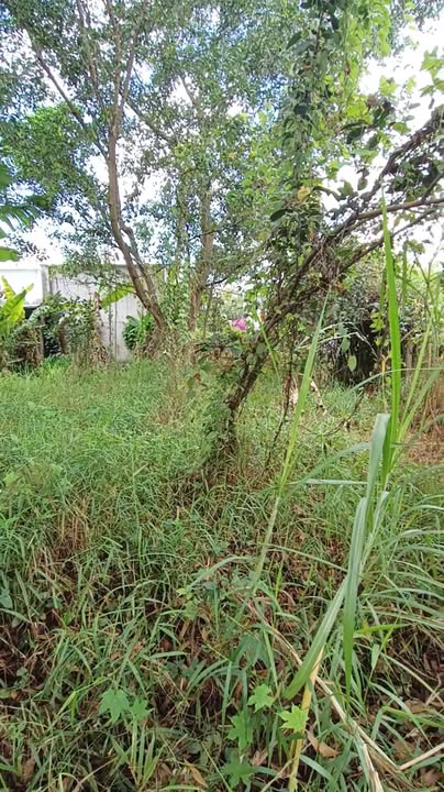 Đất Vĩnh Cửu 375m² Sổ Hồng Riêng - Ngay Ngã 3 Bình Ý