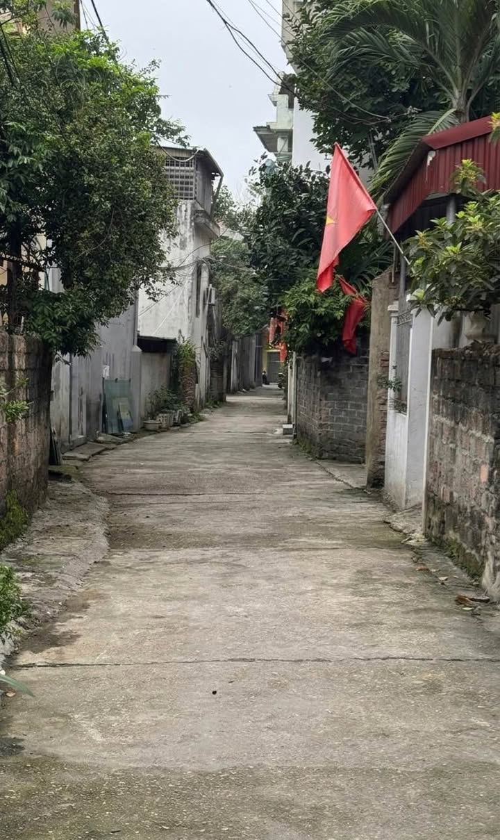 Đất Nền Nông Trang, Việt Trì 82m² - Sổ Đỏ Vuông Vắn, Giá Tốt