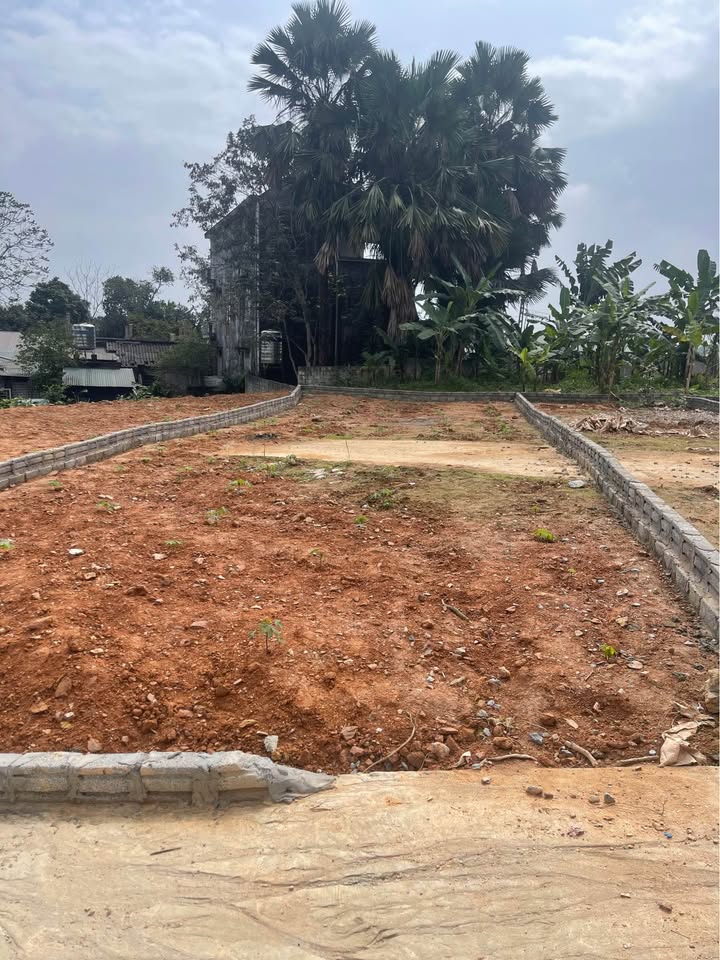 Đất thổ cư 220m² T.Tuyên Quang - Sổ hồng sẵn, ô tô vào tận nơi