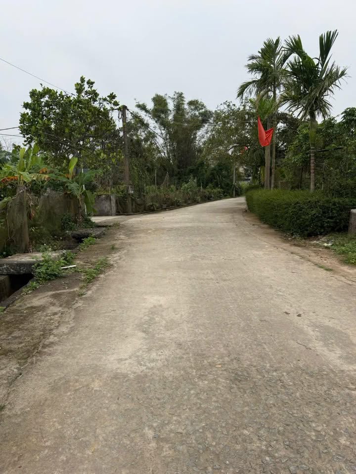 Đất nền Thạch Long, Thạch Hà 144m² - Tiềm năng tăng giá vượt trội