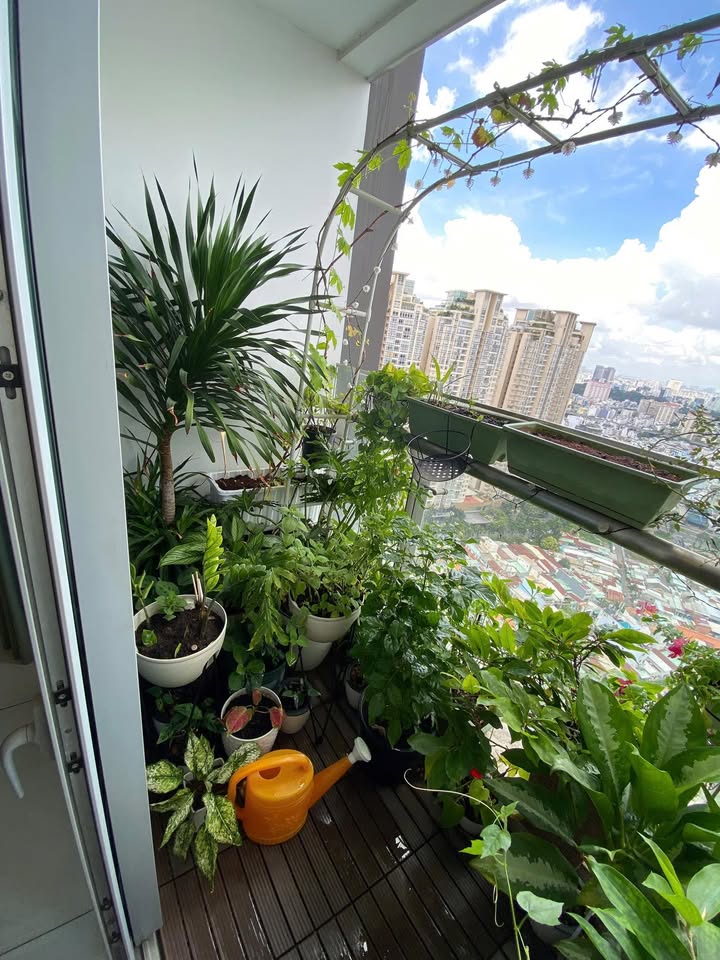 Căn hộ Vinhomes Central Park 84m² giá 11 tỷ - Sổ hồng sẵn sàng