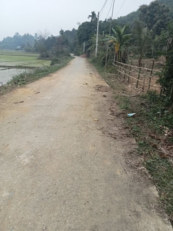 Đất nền Kim Bôi, Hòa Bình 398m² - Sổ đỏ chính chủ