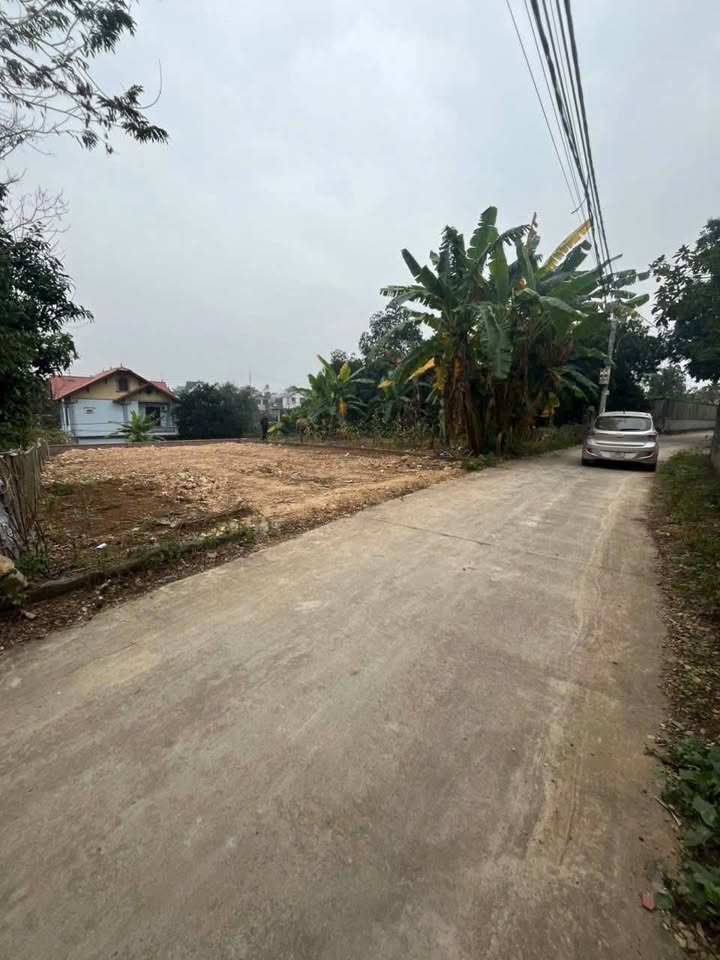 Đất nền Thụy An, Ba Vì 218m² - Sổ đỏ chính chủ, xây dựng tự do!