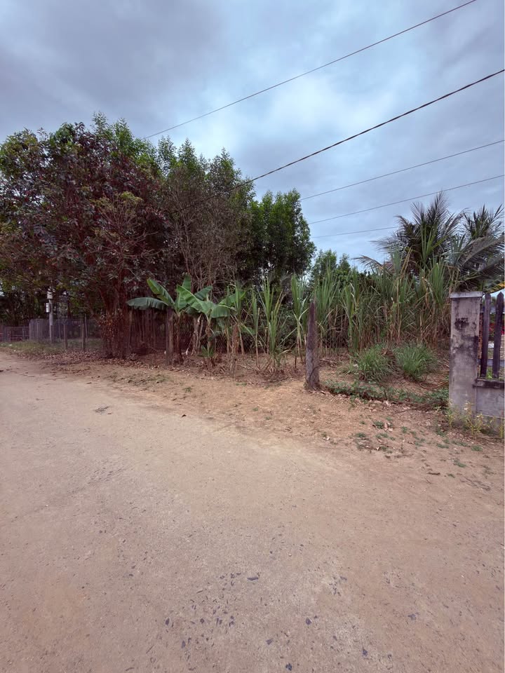 Đất Thổ Cư Diên Khánh 657m² - Sổ Hồng Sẵn Sàng Đầu Tư