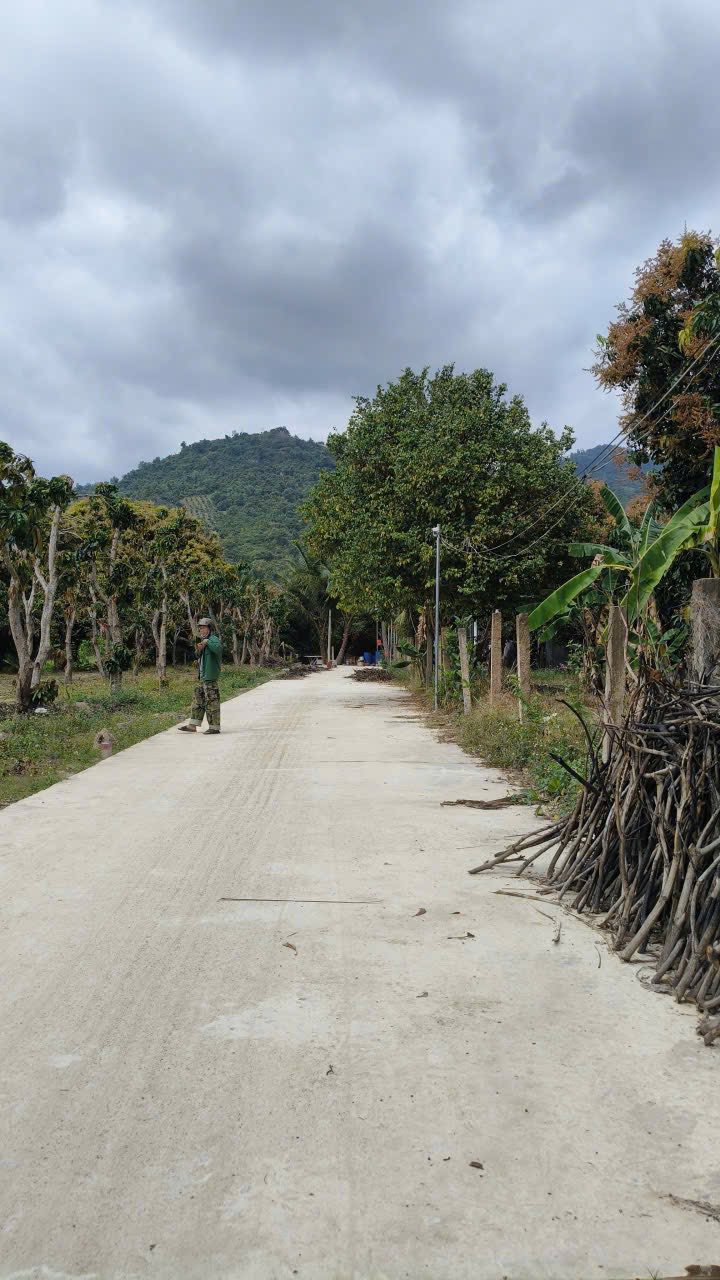 Đất nền Cam Tân 157.6m² - Sổ đỏ chính chủ, ô tô vào tận nơi