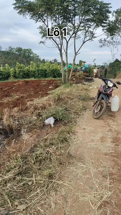 Bán Gấp 3 Lô Rẫy Đăk Mil, Đắk Nông - Sổ Đỏ 9200m², Giá Từ 2.4 Tỷ