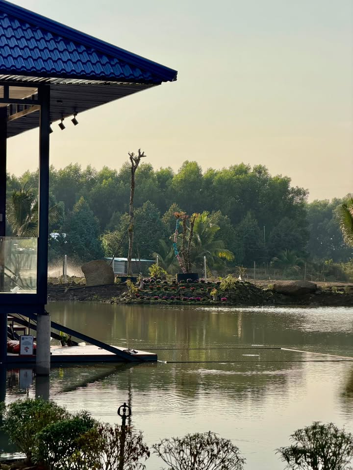 Bán Đất Phú Lâm Đạ Huoai 900m² - 35 Triệu/m Ngang, Sổ Hồng Riêng