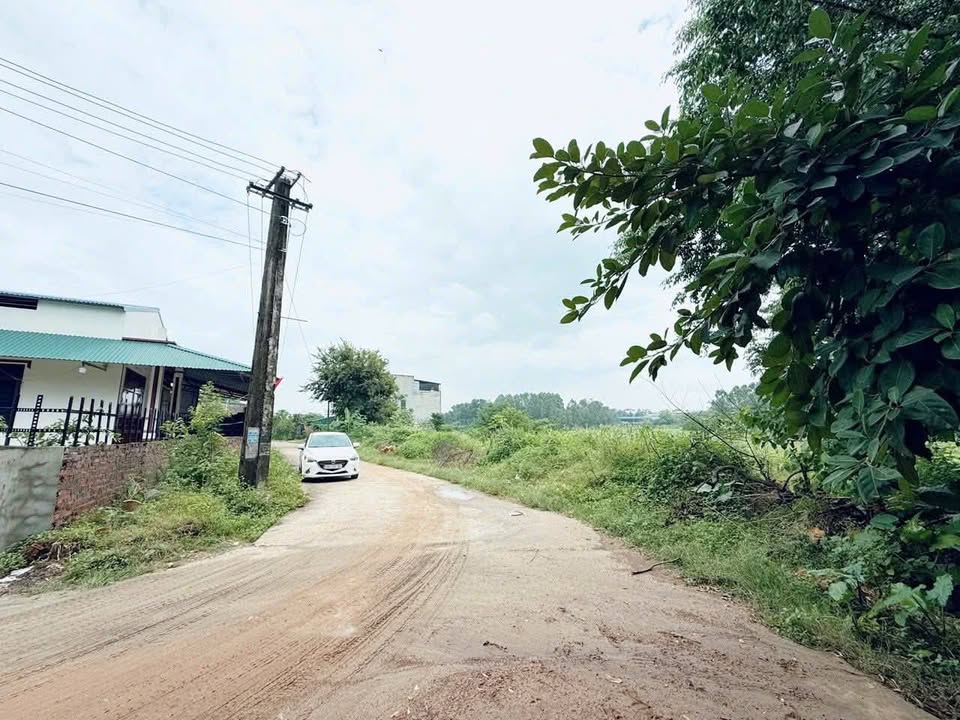 Đất nền Đồng Chão, Thụy Vân 100m² - Tiềm năng tăng giá vượt trội!