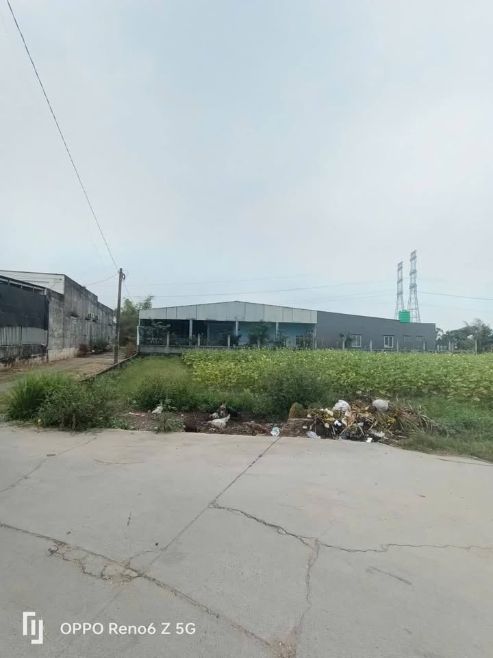 Đất nền Bình Chánh Tỉnh lộ 824 - Giá F0, Sổ đỏ chính chủ!