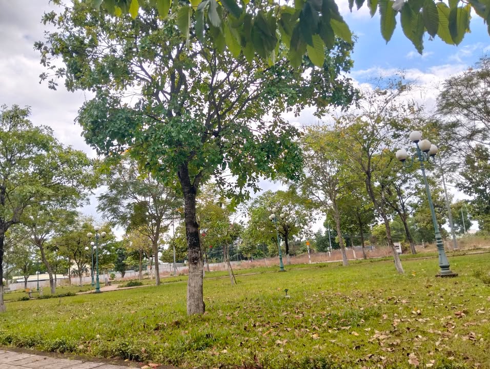 Đất Nền Long Thành 858m² Sổ Hồng Riêng - Giá Đầu Tư 8 Tỷ