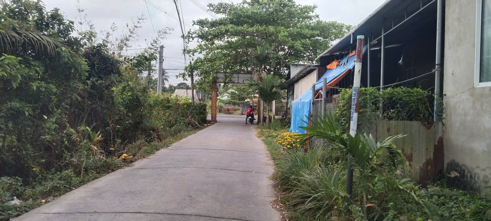 Bán Đất Mặt Tiền Lộ 24 Sóc Trăng 430m² - Giá 900 Triệu, Sẵn Nền Xây Nhà