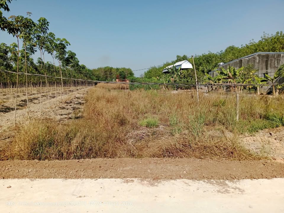 Bán Đất Vườn Lai Uyên, Bàu Bàng 539m² - Sẵn Sàng Xây Nhà/Trọ