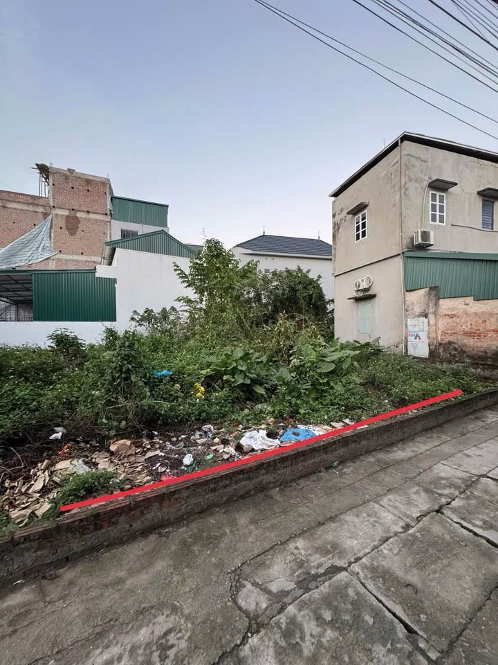 Bán Đất Lô Góc Thôn Sinh Quả, Bình Minh - 247m² Giá Tốt