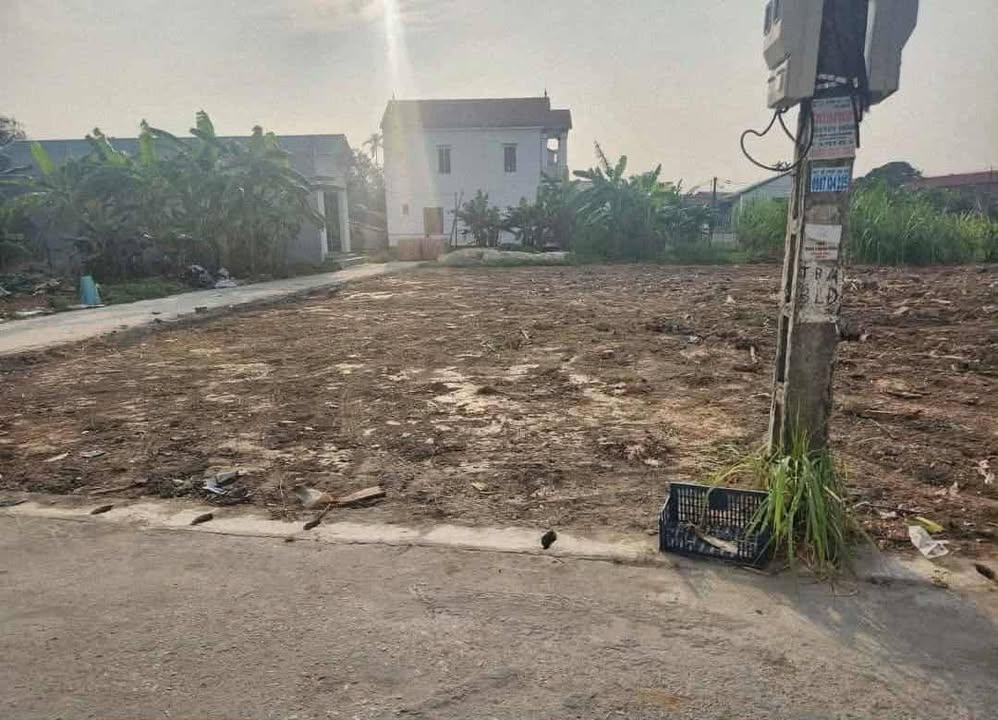 Đất nền Lương Điền Cẩm Giàng 88m² giá 1.x tỷ - Vị trí kinh doanh đắc địa