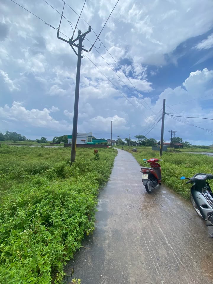 Đất nền 100m² Hải Ninh, Quảng Ninh - Sổ Hồng, Giá tốt chỉ từ 2xx triệu