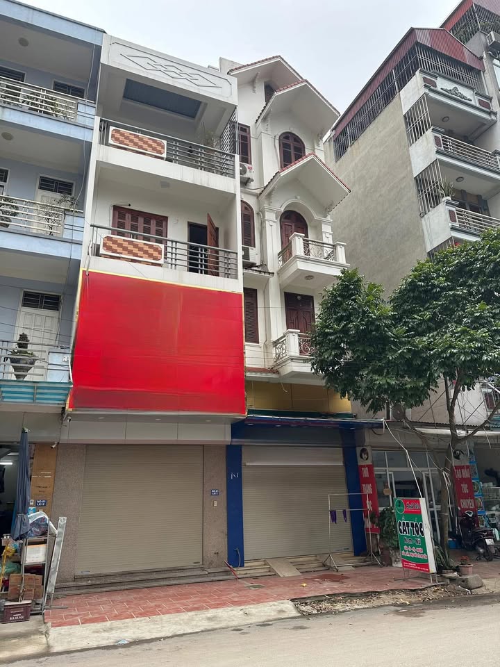 Nhà Phố Cây Quýt Hà Đông 50m² - Mặt tiền kinh doanh đắc địa!