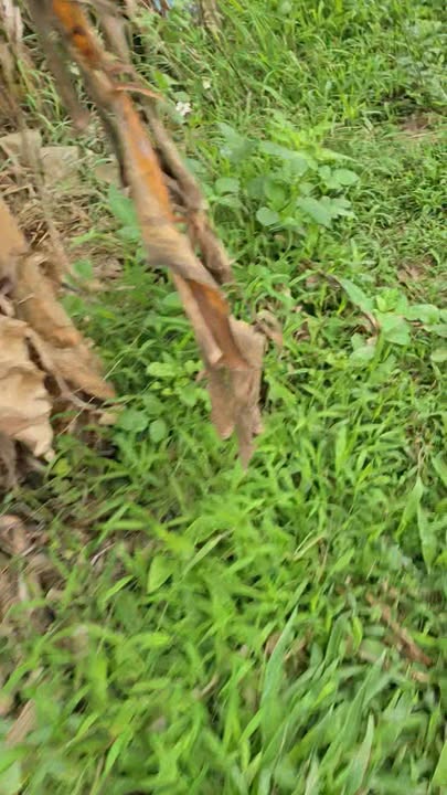 Đất Nền 1110m² Sổ Đỏ - Ngô Quyền, Hải Phòng - Giá 2.7 Tỷ