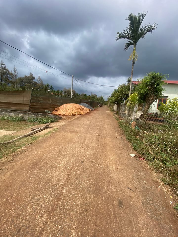 Bán Gấp 3 Lô Đất Komleo Tân Lập, BMT - 390m² Thổ Cư, Hướng Nam