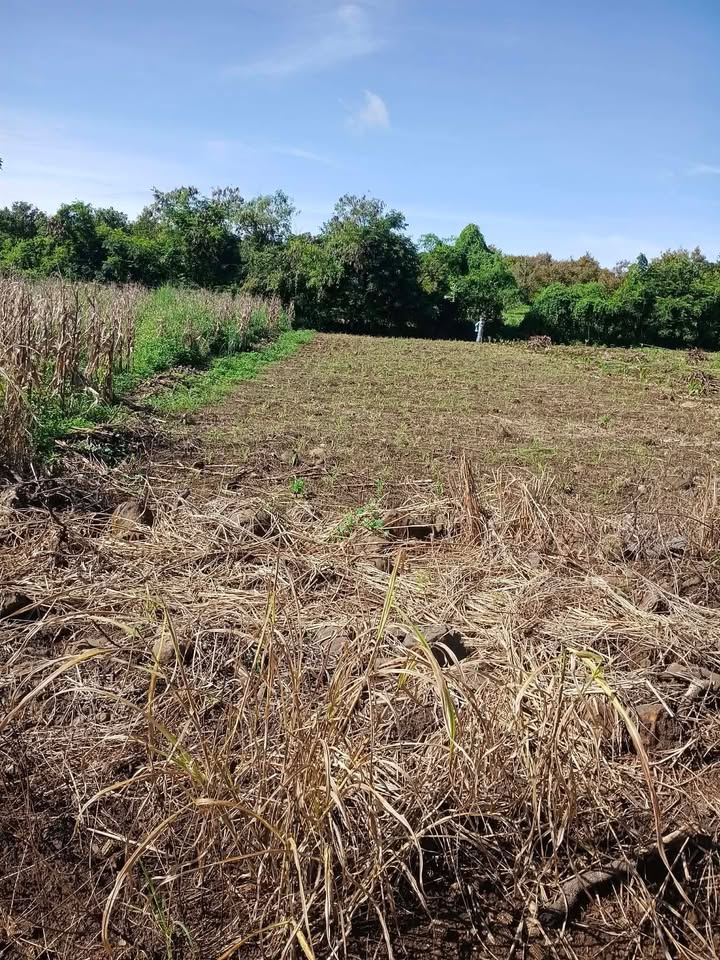 Đất nền Hòa Phú Buôn Ma Thuột 564m² giá 350 triệu - Sổ đỏ chính chủ