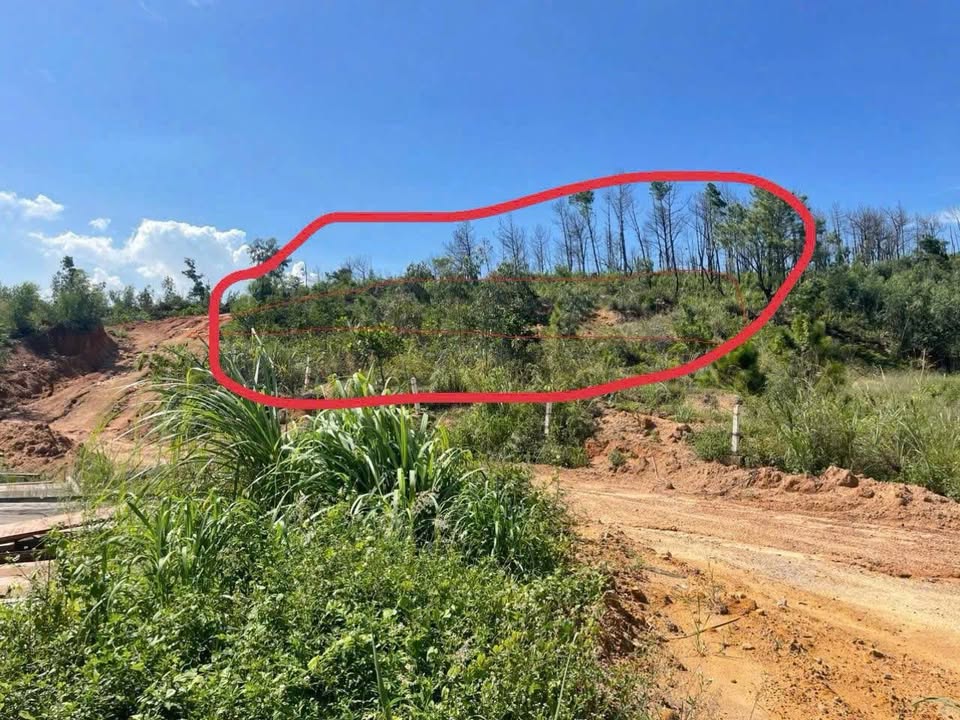 Đất nền Bãi Cháy 2184m² giá 21.84 tỷ - Ngõ ô tô, tiềm năng lớn!