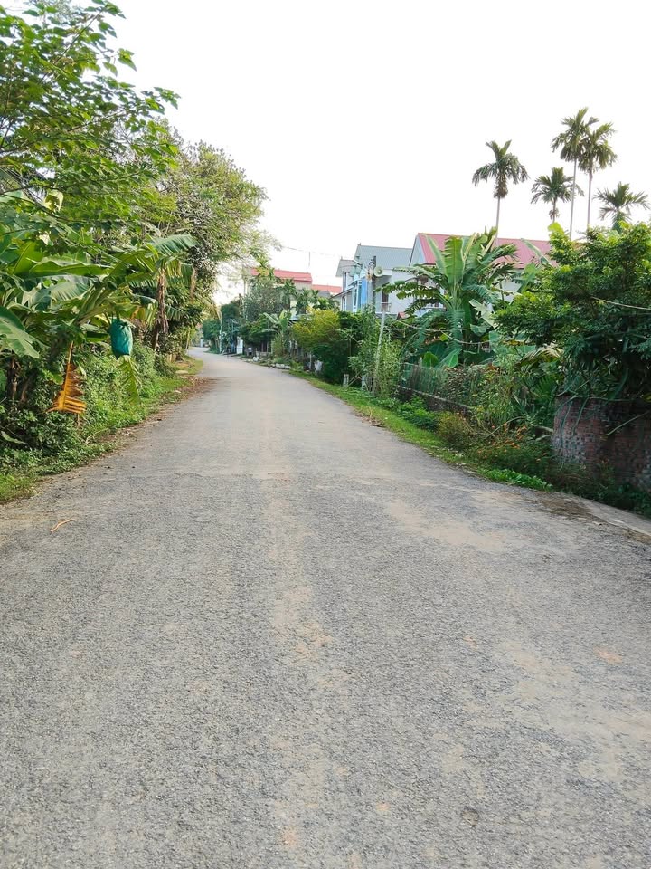 Bán Đất Mặt Đường Tỉnh 315, Tam Nông, Phú Thọ - 158m² Giá 780 Triệu